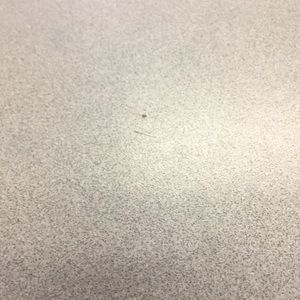 Meet your Posher, Marcus